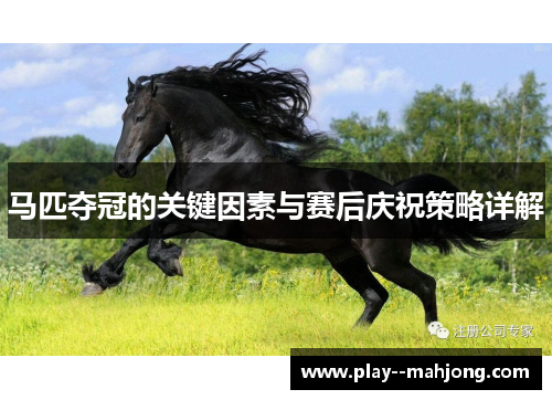 马匹夺冠的关键因素与赛后庆祝策略详解 马匹夺冠的关键因素与赛后庆祝策略详解