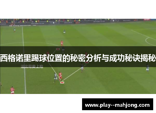 西格诺里踢球位置的秘密分析与成功秘诀揭秘 西格诺里踢球位置的秘密分析与成功秘诀揭秘