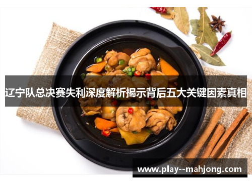 辽宁队总决赛失利深度解析揭示背后五大关键因素真相